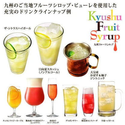 九州果実シロップ 割り材 びわ 3倍希釈 500ml はちみつ入りノンアルコール ノンアルドリンク  1140