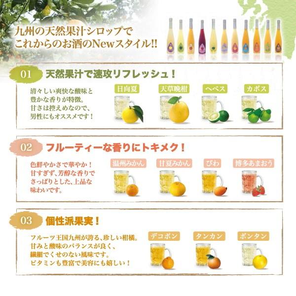 九州果実シロップ 割り材 びわ 3倍希釈 500ml はちみつ入りノンアルコール ノンアルドリンク  1140