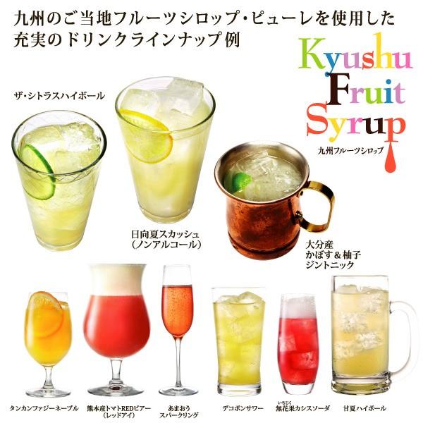 シロップ 割り材 3本セット 希釈タイプ 500ml 送料無料 デコポン 温州 あまおう 人気ベスト3セット 九州果実シロップ 1160