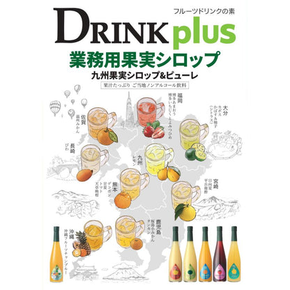 シロップ 割り材 3本セット 希釈タイプ 500ml 送料無料 あま〜いセット 温州みかん あまおう 沖縄ミックス 九州果実シロップ 福田農場 1163