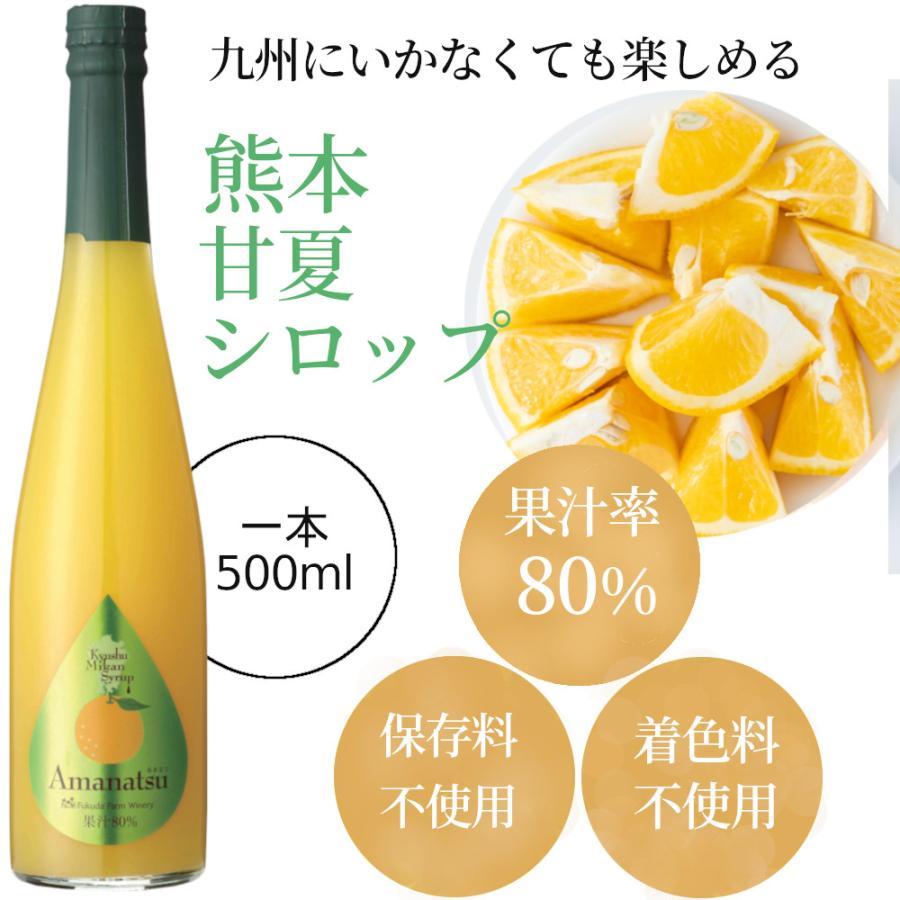 シロップ 割り材 3本セット 希釈タイプ 500ml 送料無料 甘夏 日向夏 晩柑 柑橘ベスト3セット 九州果実シロップ 福田農場 1161