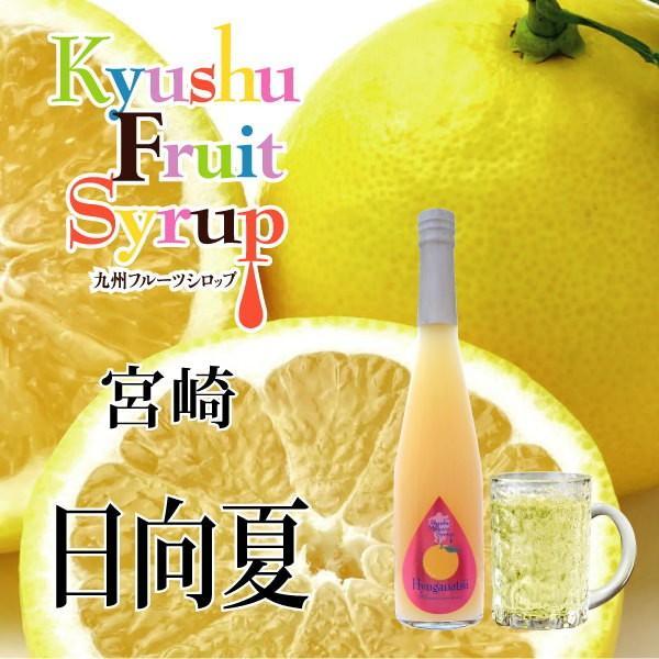 シロップ 割り材 3本セット 希釈タイプ 500ml 送料無料 甘夏 日向夏 晩柑 柑橘ベスト3セット 九州果実シロップ 福田農場 1161