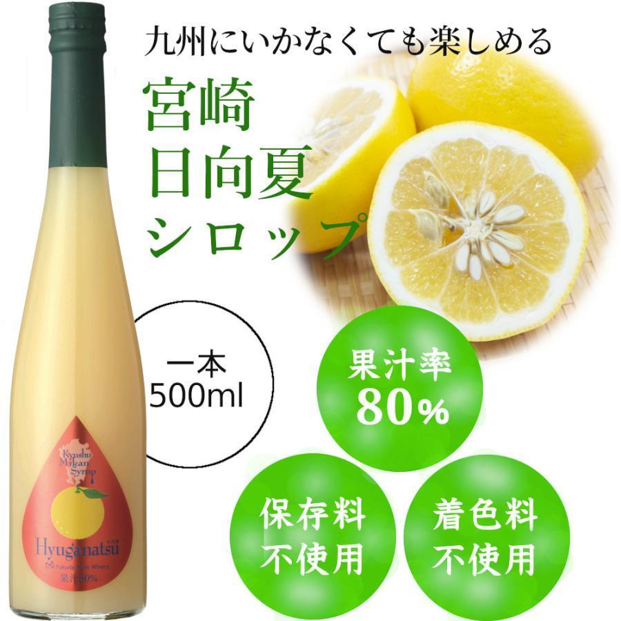 シロップ 割り材 3本セット 希釈タイプ 500ml 送料無料 甘夏 日向夏 晩柑 柑橘ベスト3セット 九州果実シロップ 福田農場 1161