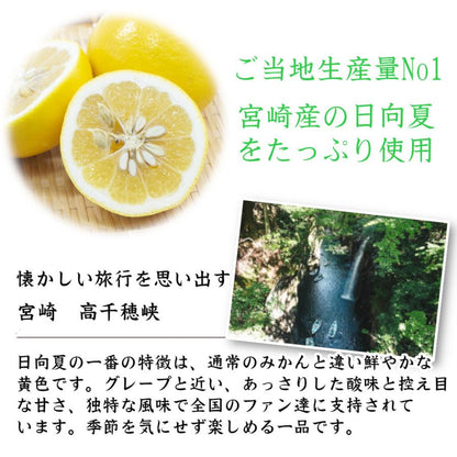 シロップ 割り材 3本セット 希釈タイプ 500ml 送料無料 甘夏 日向夏 晩柑 柑橘ベスト3セット 九州果実シロップ 福田農場 1161