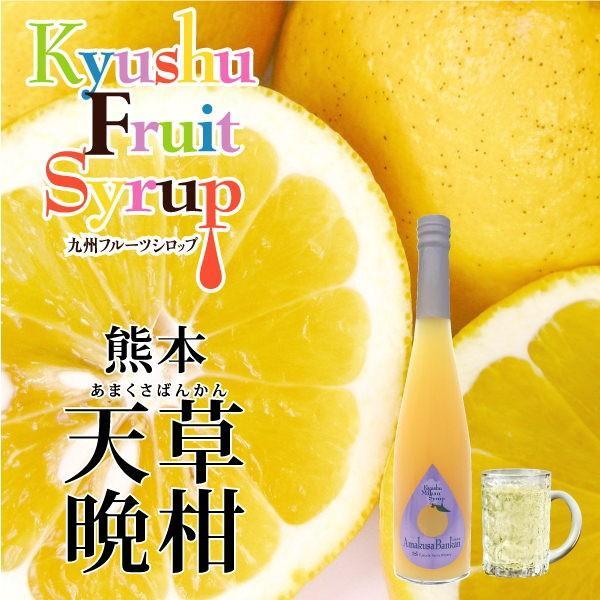 シロップ 割り材 3本セット 希釈タイプ 500ml 送料無料 甘夏 日向夏 晩柑 柑橘ベスト3セット 九州果実シロップ 福田農場 1161