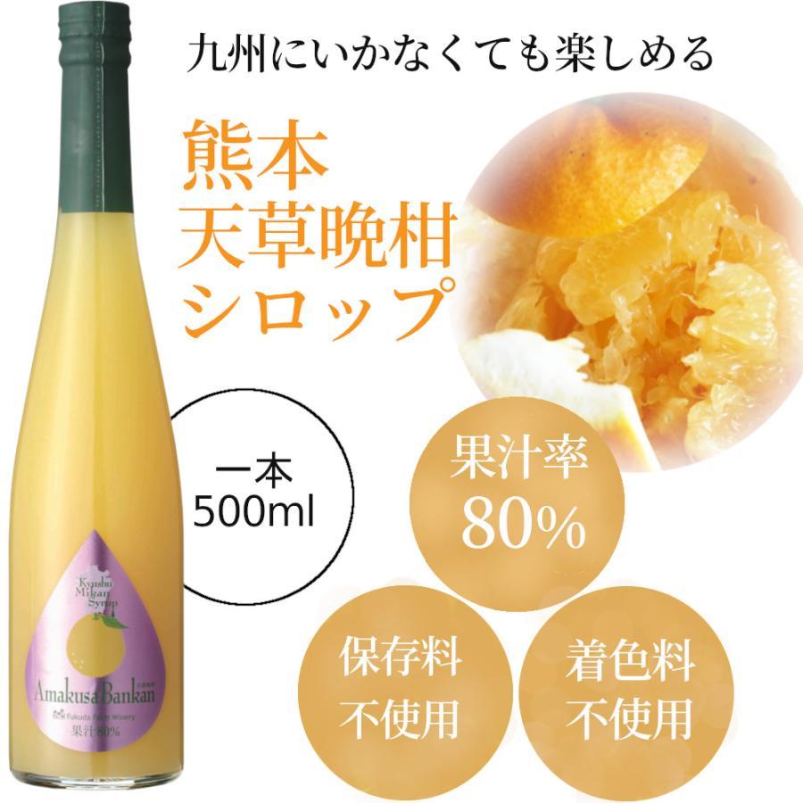 シロップ 割り材 3本セット 希釈タイプ 500ml 送料無料 甘夏 日向夏 晩柑 柑橘ベスト3セット 九州果実シロップ 福田農場 1161