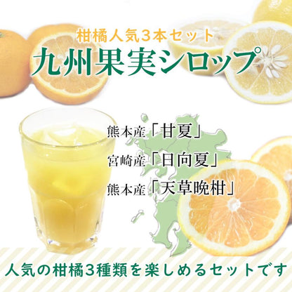 シロップ 割り材 3本セット 希釈タイプ 500ml 送料無料 甘夏 日向夏 晩柑 柑橘ベスト3セット 九州果実シロップ 福田農場 1161