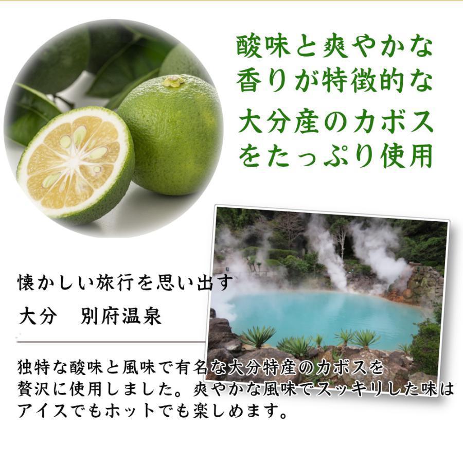 シロップ 割り材 3本セット 希釈タイプ 500ml 送料無料 カボス シトラス ヘベス さっぱりセット 九州果実シロップ 福田農場 1162