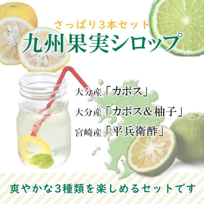 シロップ 割り材 3本セット 希釈タイプ 500ml 送料無料 カボス シトラス ヘベス さっぱりセット 九州果実シロップ 福田農場 1162