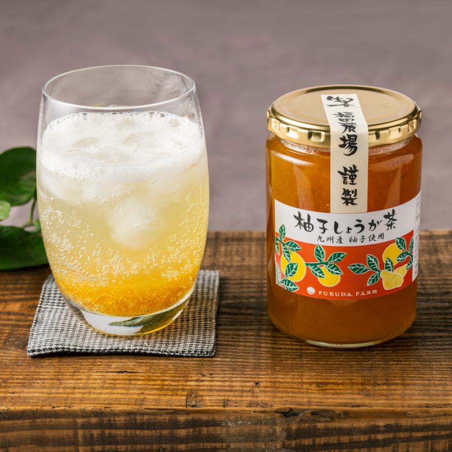 お歳暮 ホッとティータイムセット 柚子しょうが茶 和紅茶 G544