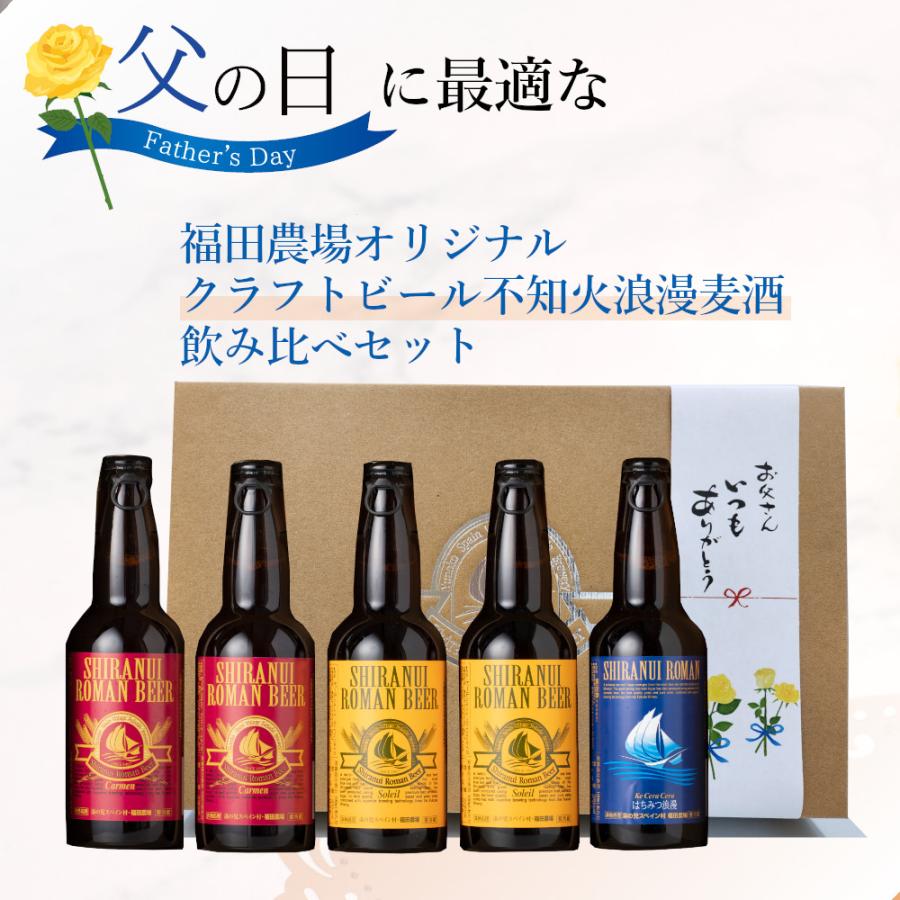 父の日 2026 ギフト プレゼント クラフトビール 不知火浪漫麦酒 飲み比べビール5本 クール便 300-05-fd