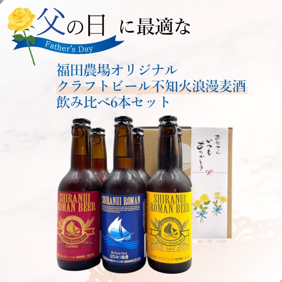 父の日 2026 ギフト プレゼント クラフトビール 不知火浪漫麦酒 飲み比べ ビール6本 300-06-fd
