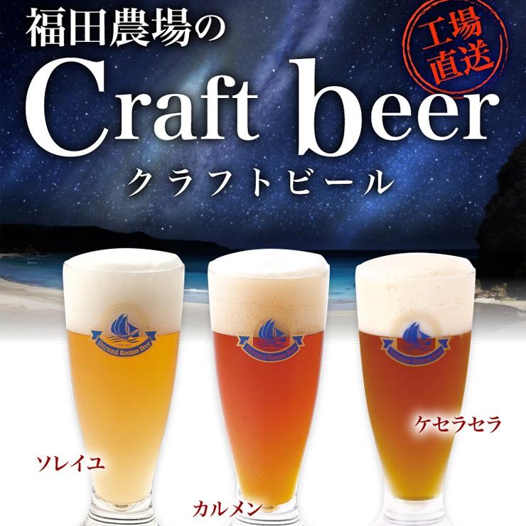 父の日 2026 ギフト プレゼント クラフトビール 不知火浪漫麦酒 飲み比べ ビール6本 300-06-fd