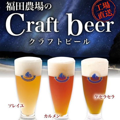 父の日 2026 ギフト プレゼント クラフトビール 不知火浪漫麦酒 飲み比べ ビール6本 300-06-fd