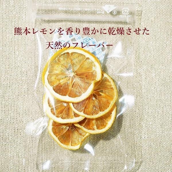 お歳暮 ホッとティータイムセット 柚子しょうが茶 和紅茶 G544