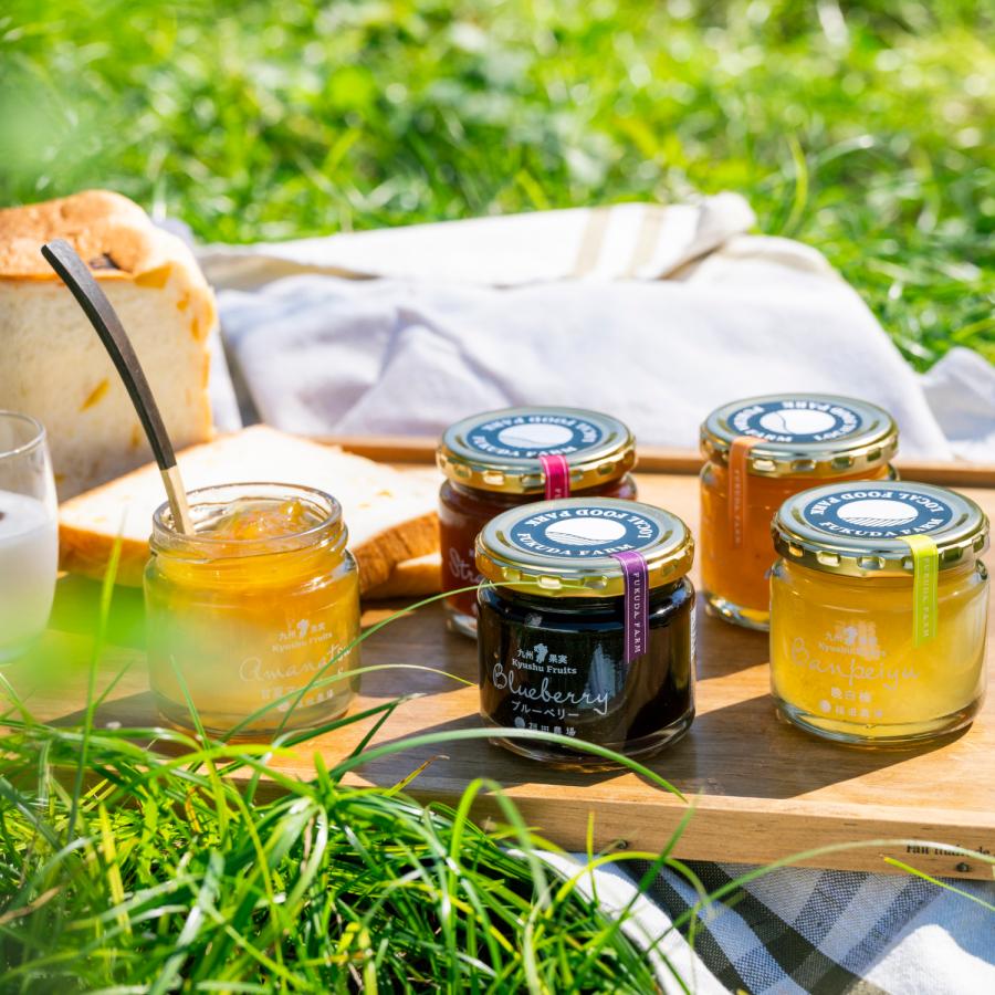 福田農場 九州果実ジャム 全種詰め合わせ 6個セット ギフト 120g レギュラーサイズ FG444