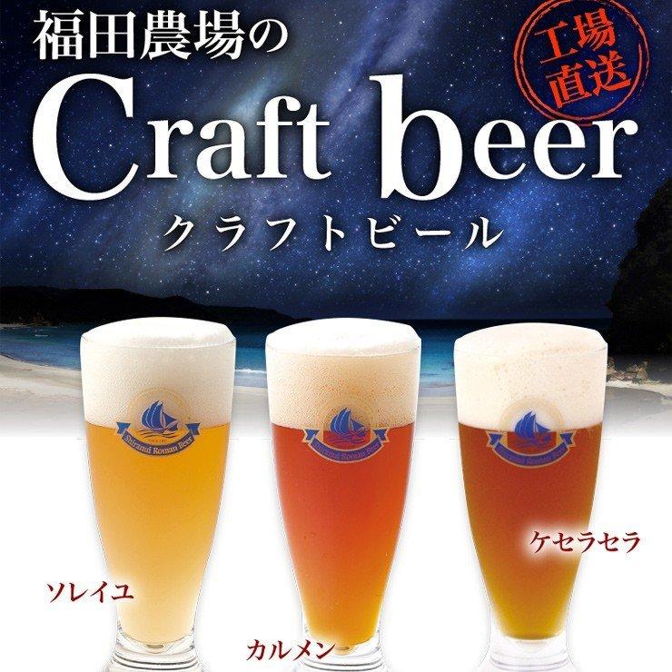 2026 父の日 ギフト 不知火浪漫麦酒 モンヴェール ウインナー セット 飲み比べ G545-2-fd