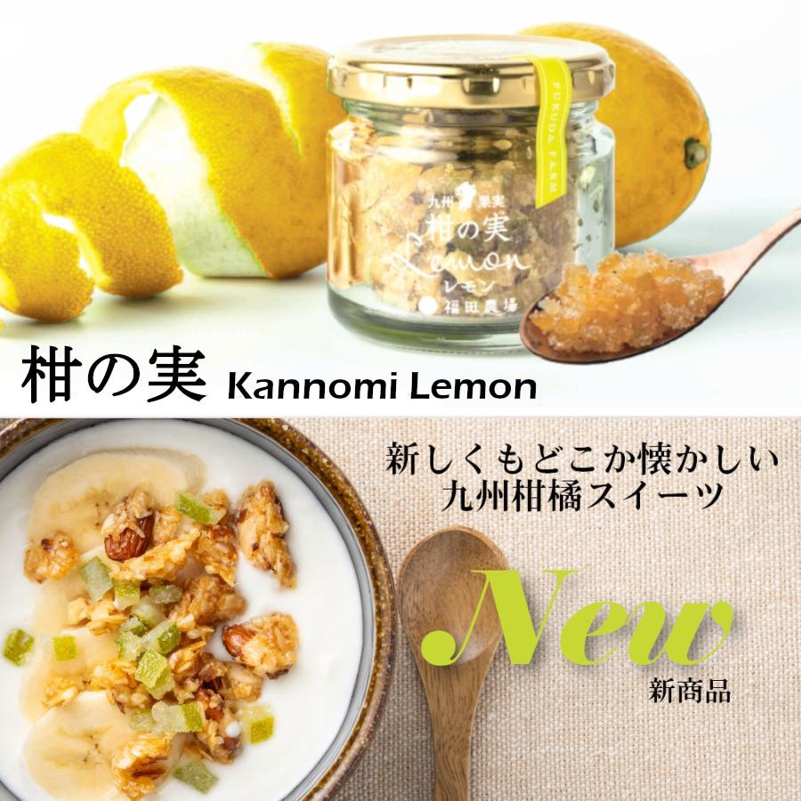 お歳暮 ギフト 九州甘夏サングリアを楽しむおつまみセット  G265