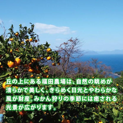 津之望みかん 約4kg ご自宅用 送料無料（北海道・沖縄・離島を除く）熊本 福田農場 約20玉から30玉SからMサイズ R141