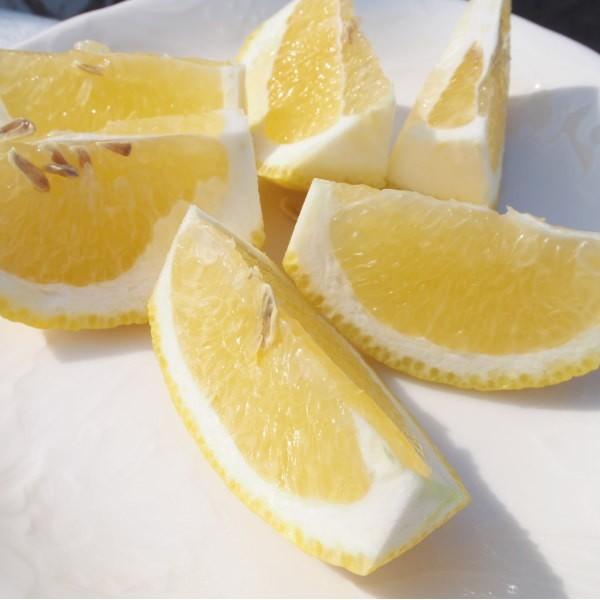 予約注文【2月下旬発送予定】はるかみかん 約4kg ご自宅用 送料無料 Mから2Lサイズ 18玉〜20玉前後 福田農場  R145