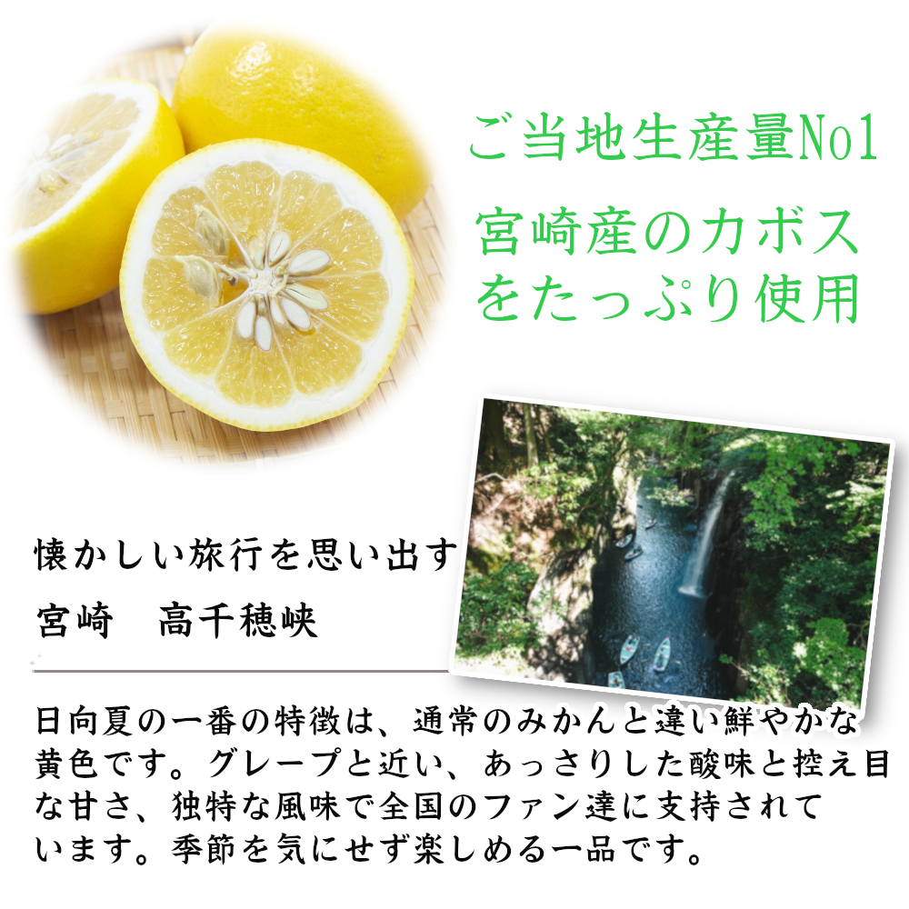 九州果実シロップ 割り材 日向夏 3倍希釈 500ml はちみつ入り ノンアルコール ノンアルドリンク 1135