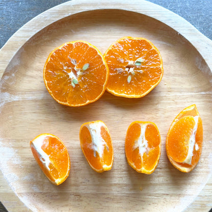 津之望みかん 約4kg ご自宅用 送料無料（北海道・沖縄・離島を除く）熊本 福田農場 約20玉から30玉SからMサイズ R141