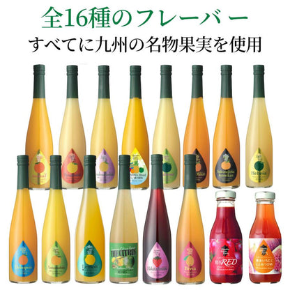 福田農場 九州果実シロップ びわ 割り材 3倍希釈 500ml はちみつ入りノンアルコール ノンアルドリンク  1140